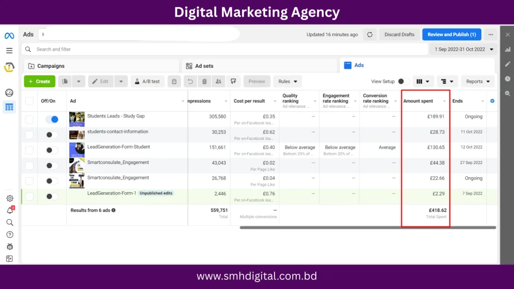Digital Marketing Agency - SMH Digital